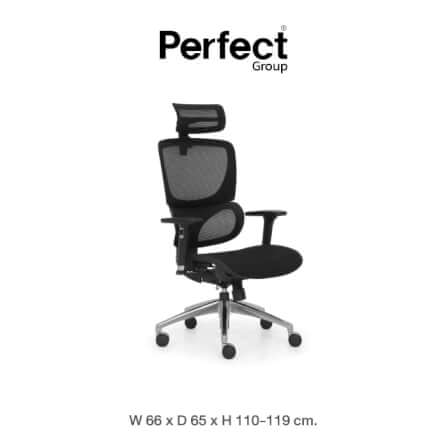เก้าอี้ทำงานเพื่อสุขภาพ Perfect รุ่น 101DF สีดำ_0